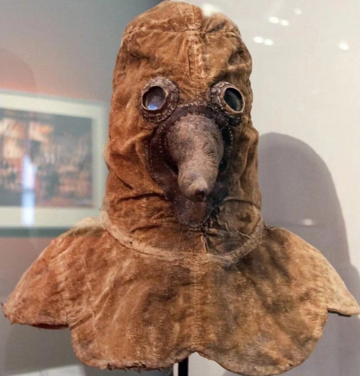 ArchaeoHistories tweet media