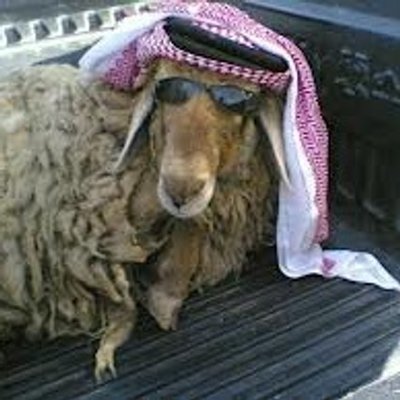 يَحْسَبْ بنَقْصِه كِلّ خَلْق الله تِعـوزَه
وهو "خروفٍ" ضايعٍ في طـباعـه
مريض نفسِيّ.. والرجولة عـجـوزَه
يفضح شعوره.. قـبل يفضح قناعه!
مصلوحنا في "عزّ" صـعبٍ يـجـوزَه
مـا نـنـحـني للـنـقص وأهـل اللكاعـه
#حبيت_أقول 
#تدل_دربها