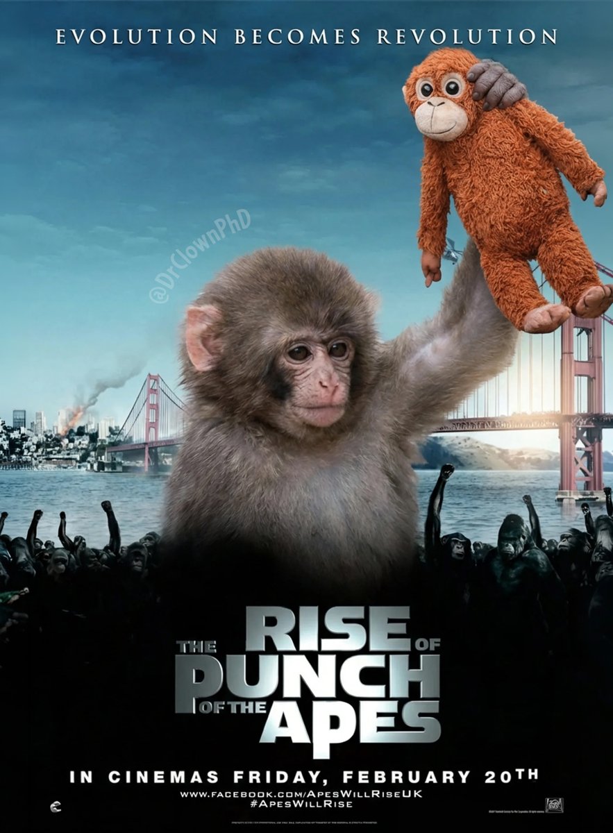 The Rise of Punch of the Apes.