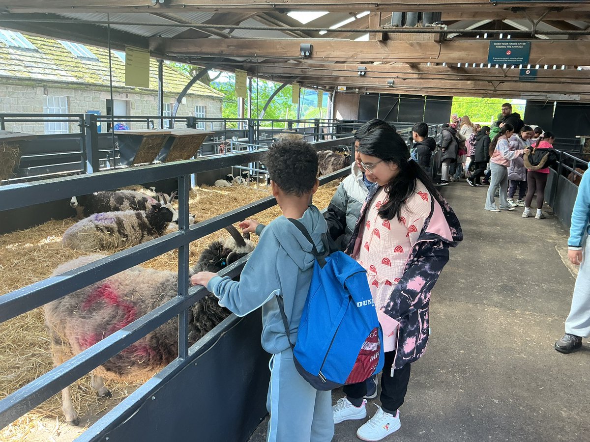 LawrencePrimary's tweet photo. An incredible day at Chatsworth House 🐥🐣👍🏼👏🏽👏🏿👏🏻😁🐐🐏🐑🐴🐓🐔🐤
We all had a brilliant time👍🏼 https://t.co/qorJ0beGRp