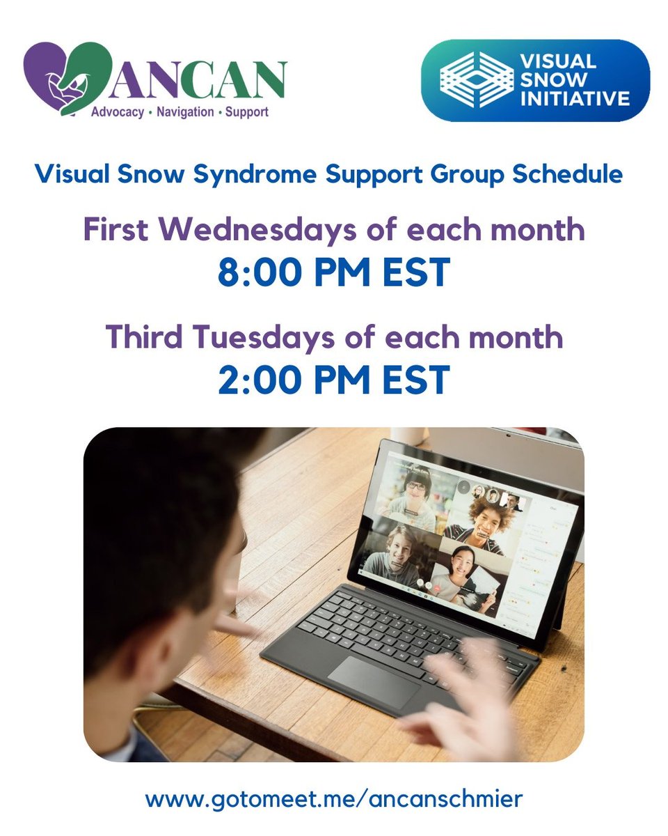 Visual Snow Initiative tweet media