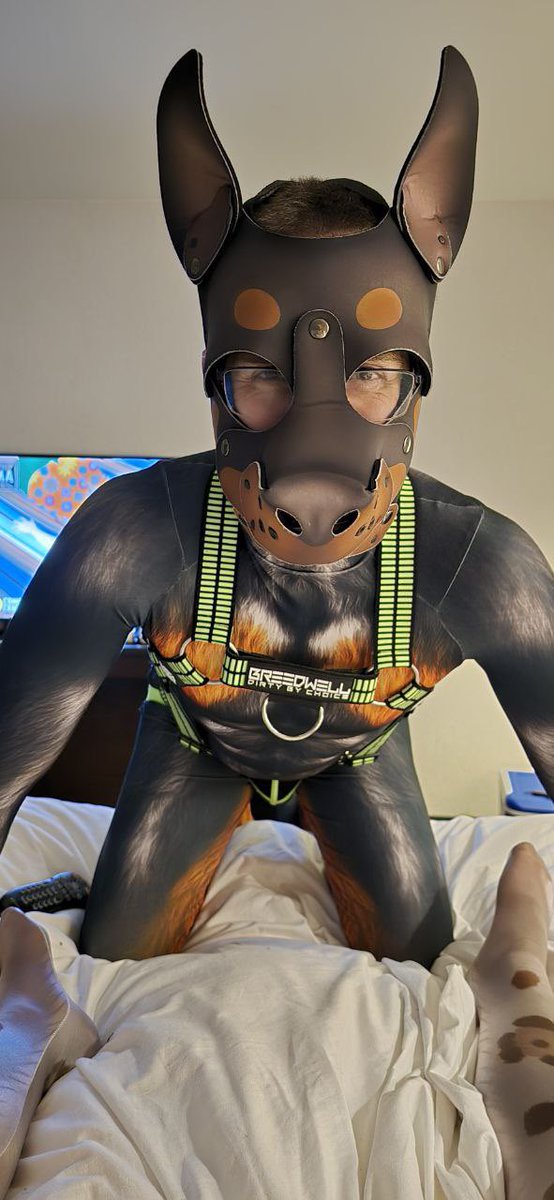 jakebayAD's tweet photo. FWA time! I’m arriving tomorrow in the afternoon. Can’t wait to see everyone! It’s been quite a year since the last one.

✅: take pics of me in suit or as Dog
✅: hugs
✅: party invites
❌: following me w/o permission 
❌: flirting/grabbing/asking for sex (closed relationship!) https://t.co/G1ImnQSFe2