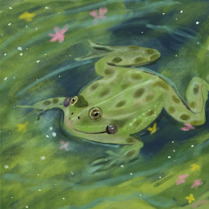 No Context Frogs tweet media