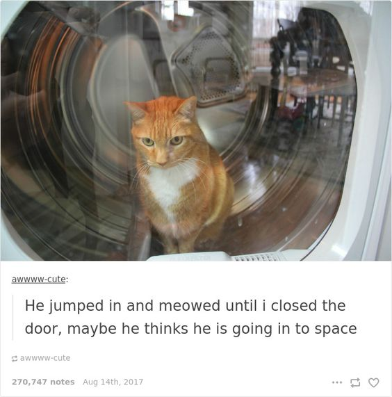 WholesomeMemes tweet media