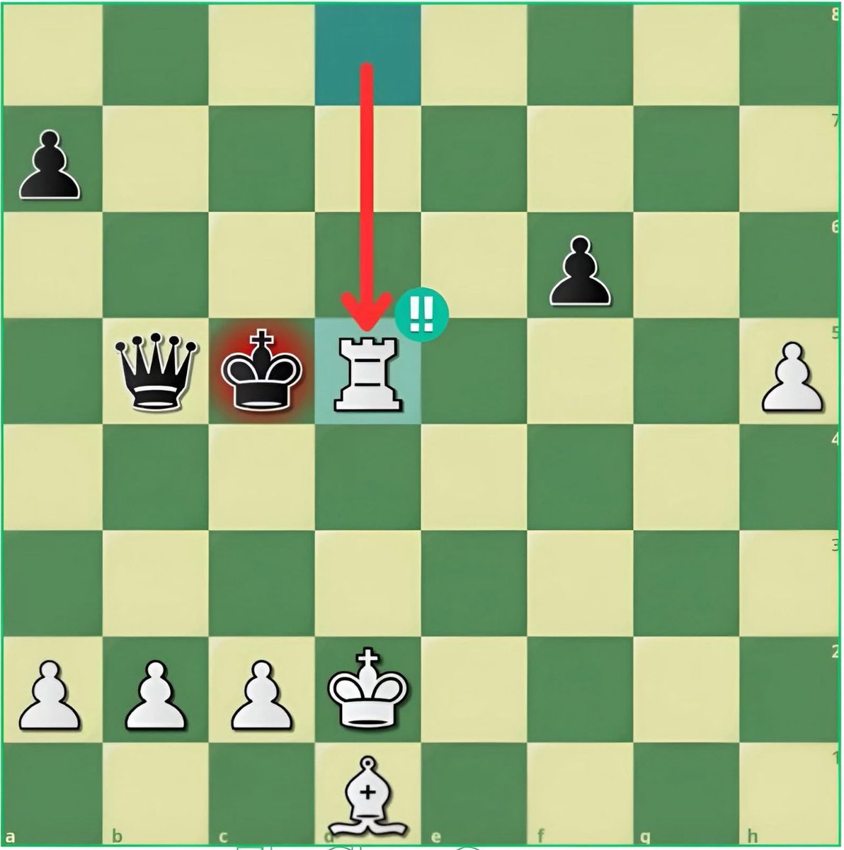 Chess Master tweet media