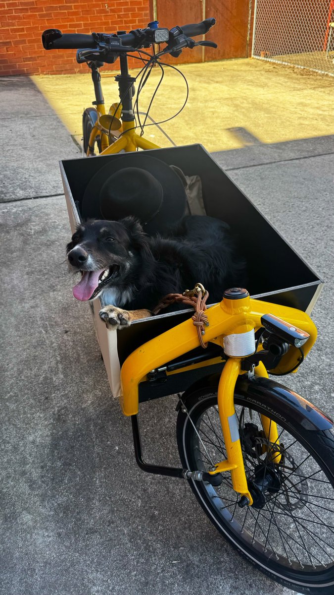 KnobieObi51997's tweet photo. @Perowinger94 Das hätte aber auch niemand ahnen können 🙄
Ich war die letzten 3 Wochen ausschließlich mit dem Rad unterwegs.
Einfach mehr radfahren und ganz viel #Geld #Nerven #Luftverschmutzung und #CO2 sparen. https://t.co/QwTBfPEVR0