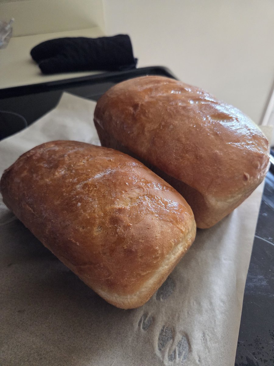 SlothsPrintShop's tweet photo. They say you shouldn't take pictures of your food before you eat it, but what if you bake bread from scratch? Its GOTTA be okay then. 

Sidenote: Your boy's still got it. 

Will post the innards once it cools a bit and I cut into it. https://t.co/FT3d1NsDGh