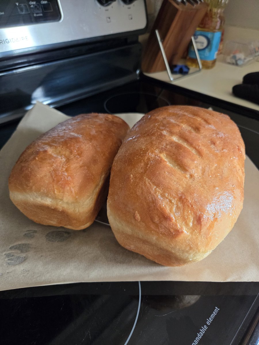 SlothsPrintShop's tweet photo. They say you shouldn't take pictures of your food before you eat it, but what if you bake bread from scratch? Its GOTTA be okay then. 

Sidenote: Your boy's still got it. 

Will post the innards once it cools a bit and I cut into it. https://t.co/FT3d1NsDGh