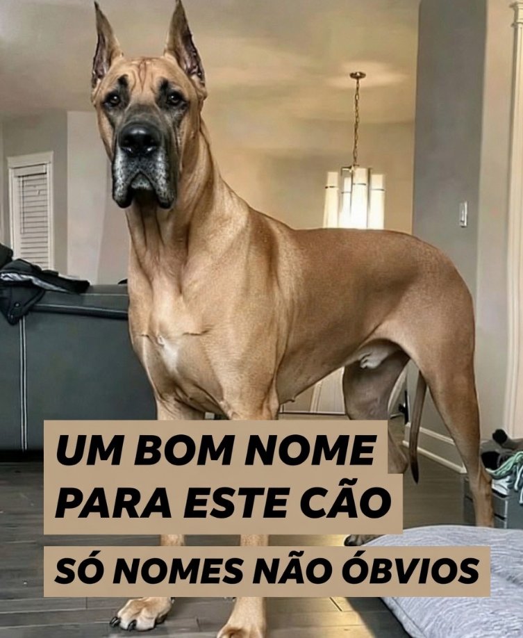 Cesar JB tweet media