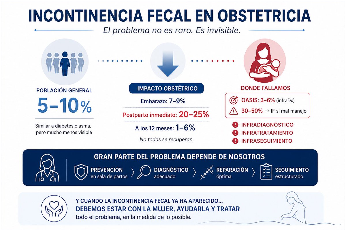 Suelo Pelvico CAULE (Cuenta no oficial) tweet media