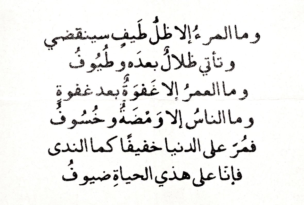 Rakan 🌱 tweet media