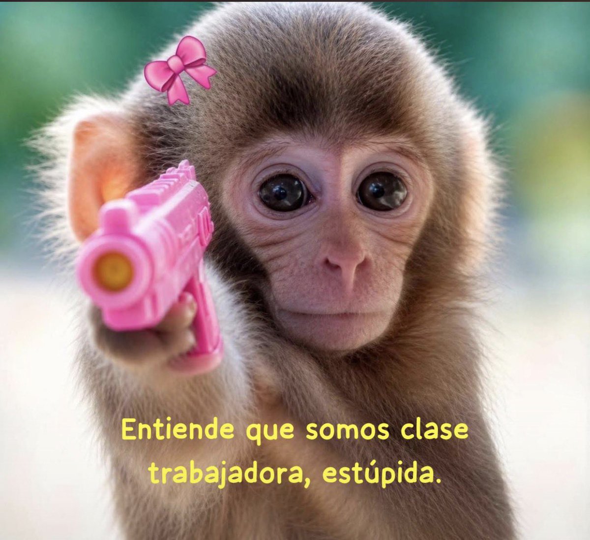 Yo en cualquier conversación casual.