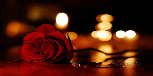 ๏̯͡๏ عـلـي الفـقـيـہ tweet media