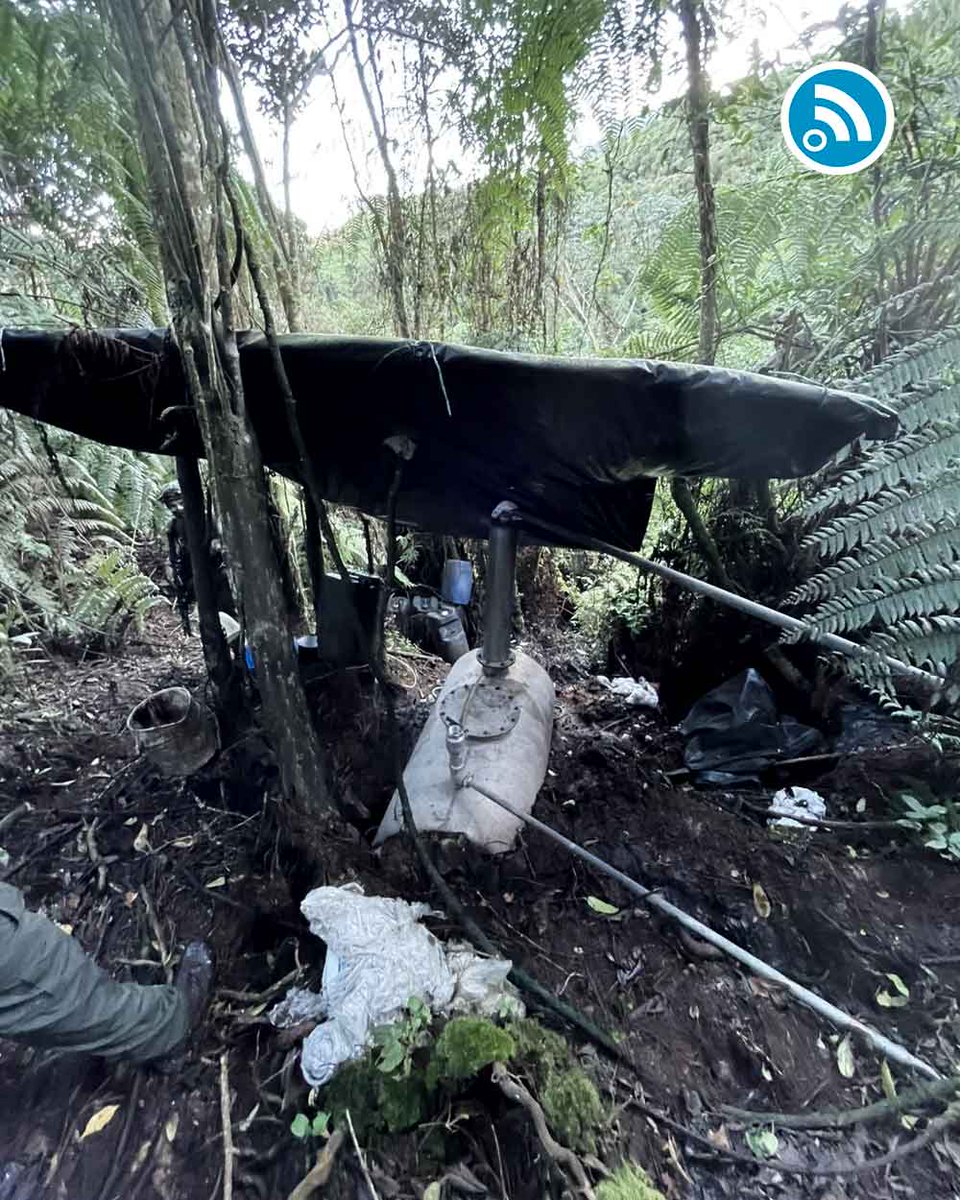 Cundinamarca en línea tweet media
