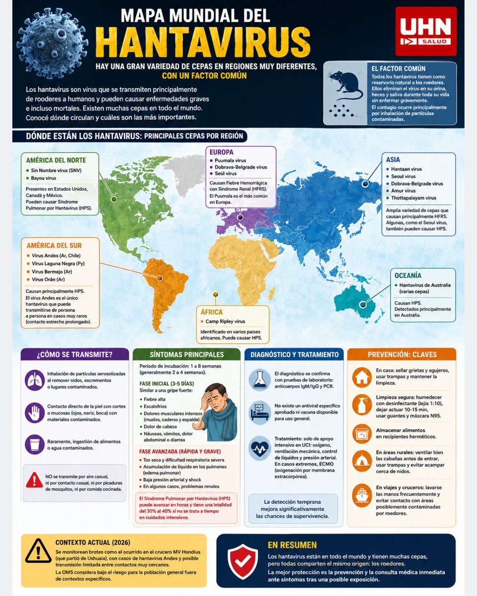 El hantavirus no es un solo virus, sino una familia con más de 80 genotipos diferentes distribuidos en todo el mundo. Aunque cada cepa tiene características propias según la región, todas comparten un factor común que explica su presencia: los roedores silvestres como reservorio