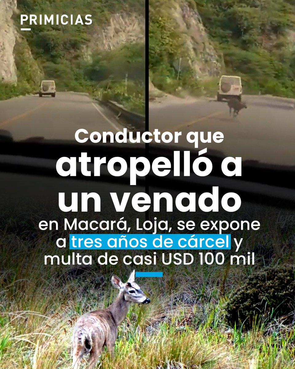 Primicias tweet media