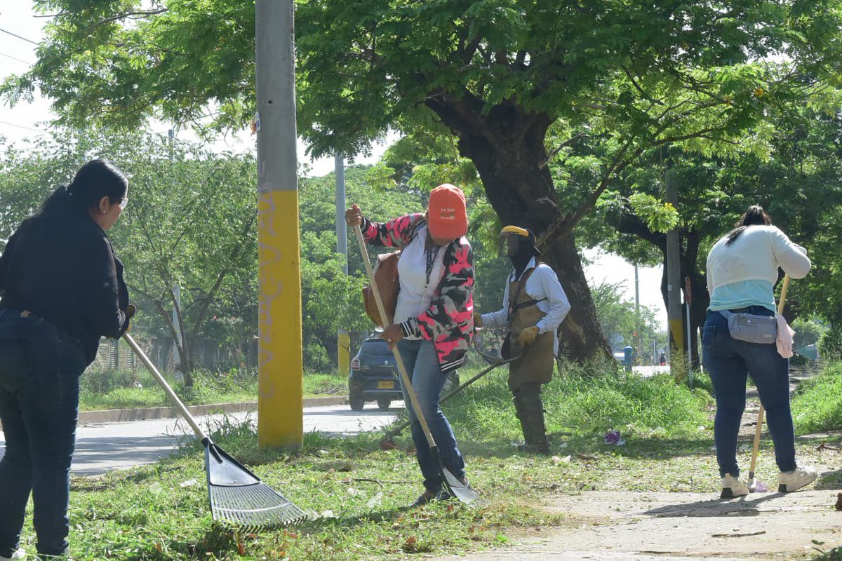 AlcaldiaVpar's tweet photo. El Escuadrón de Limpieza y Embellecimiento de la Secretaría General continúa trabajando en la recuperación y mantenimiento de los espacios públicos, adelantando jornadas de limpieza en la avenida La Popa para garantizar entornos más limpios y organizados para los vallenatos. https://t.co/egofyUHf1r