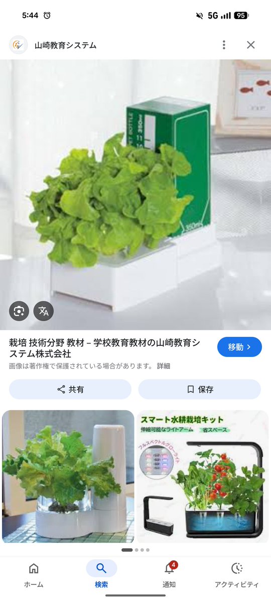 5/7おはようございます(^^)
今年の生物育成は、リーフレタスをやってみたいなと思っています。ペットボトルの吸水なら、土日空けても大丈夫そう。また、土のう袋のさつまいもも勉強になったんですが、土の処理と場所の関係から省スペース化を実行。なので、今年はとりあえずこの形を試してみます。