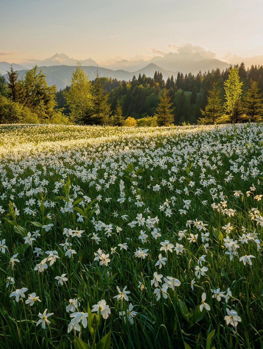 Exploring Slovenia tweet media