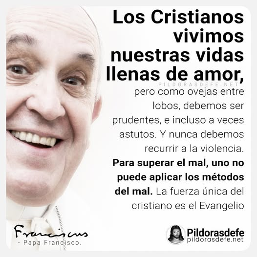 Pildorasdefe tweet media