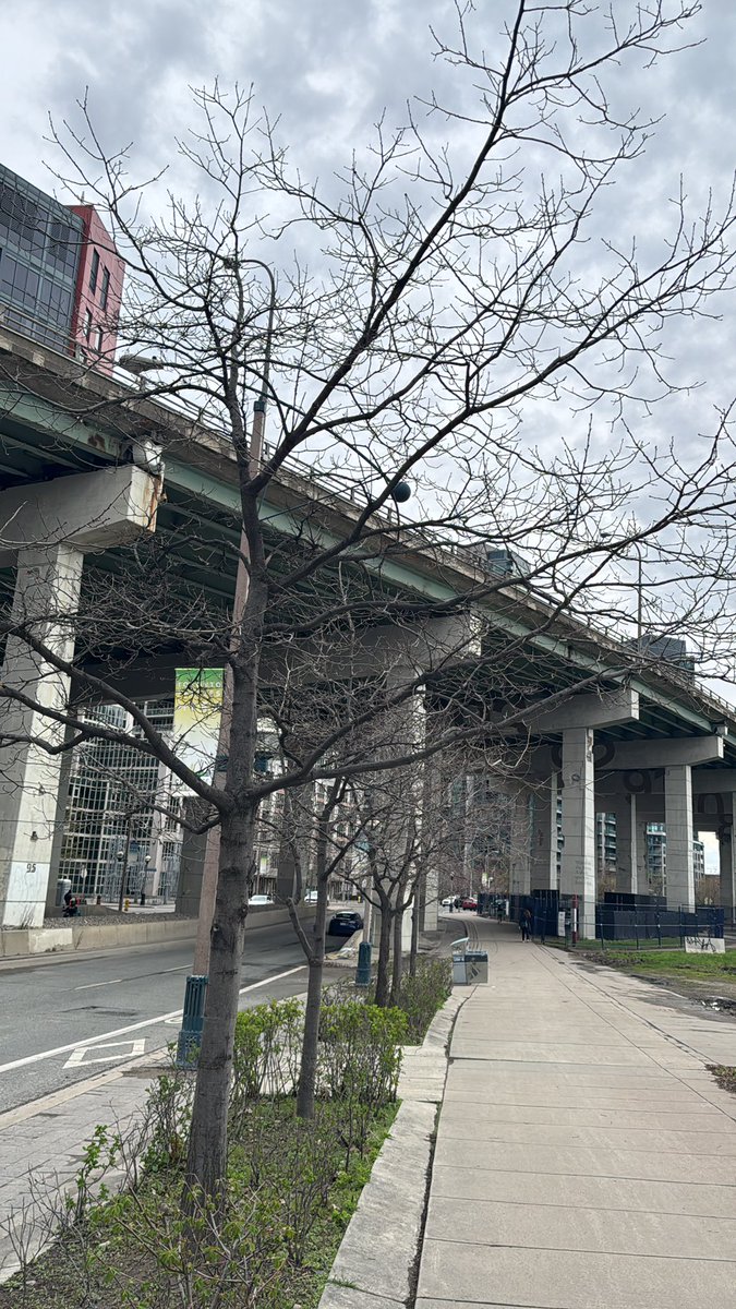 Toronto Poles and Dangling Wires tweet media