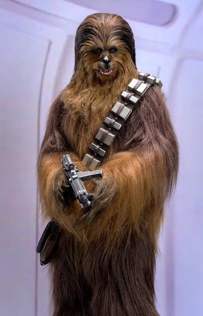 Do you think Chewbacca had a human 🍆 or one of those red rocket lipstick things 💄 like a dog? Cuz either way I’m riding that