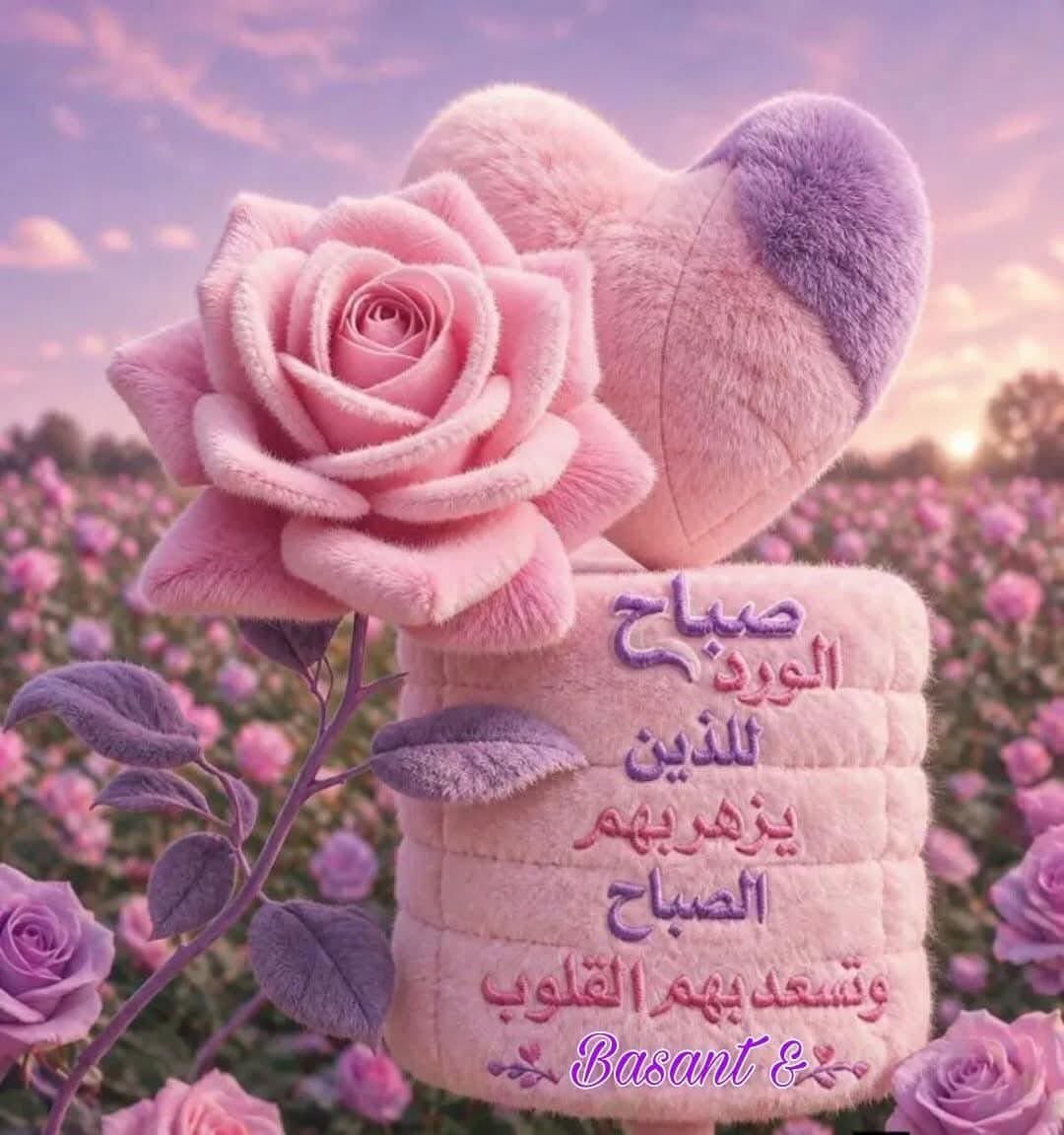 ساره الدوسري🇸🇦 tweet media