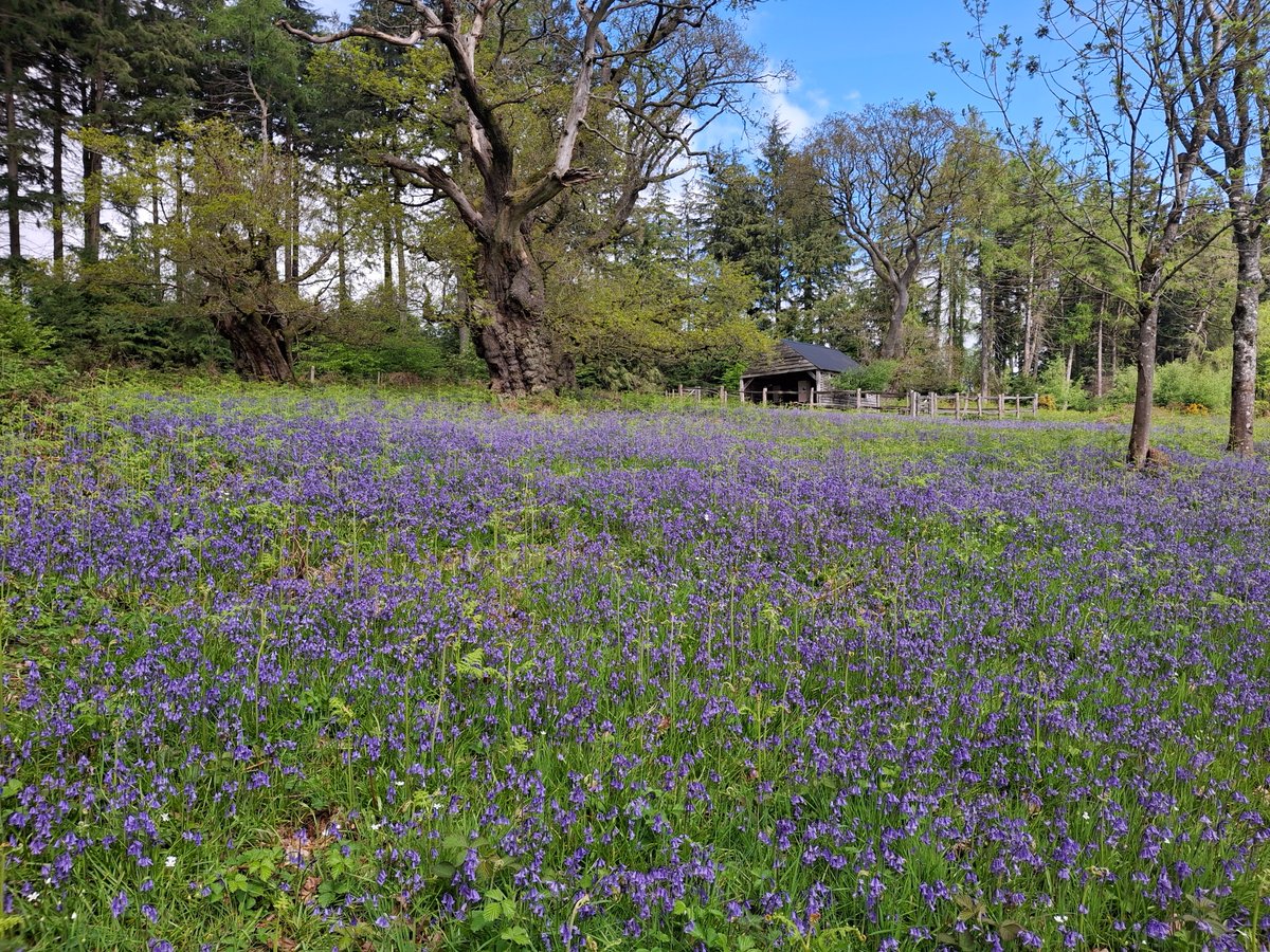 kpscapturethem1's tweet photo. Sunday at croft  Castle https://t.co/iw1SWUpsec