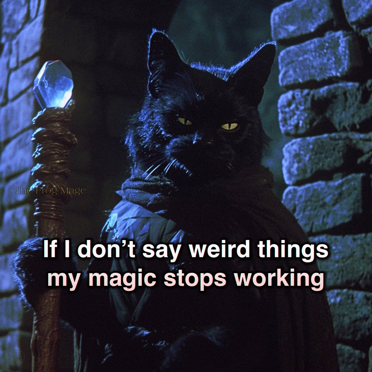 The Frog Mage tweet media
