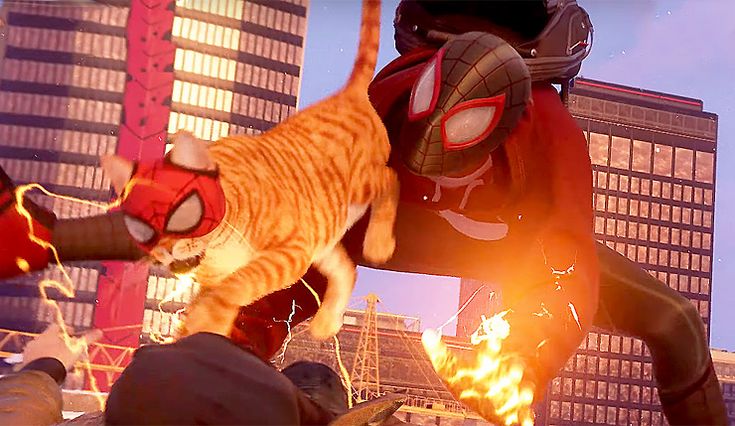—Al final resultará que eres un buen Spider-Man y todo, Sr. Cheeto. —Le dice al gato mientras este le ayuda a impedir un robo en el Joe's.