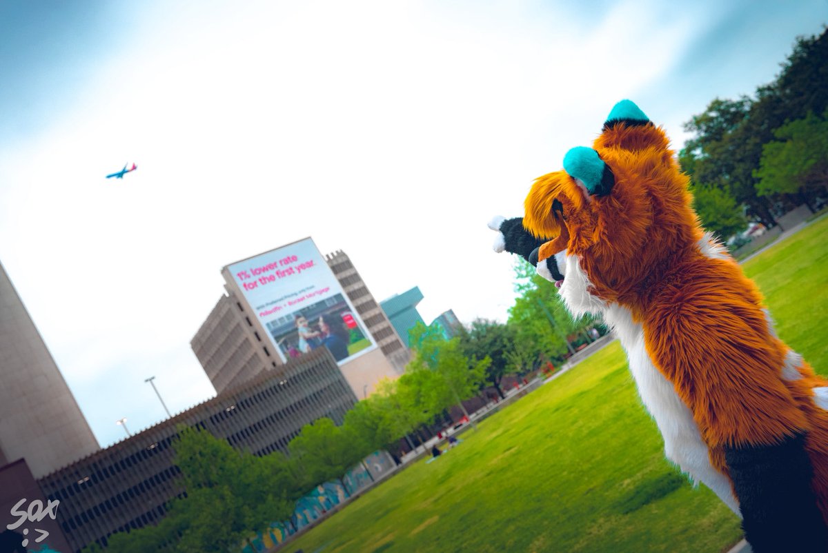 Autumn 🦊🔜FWA tweet media