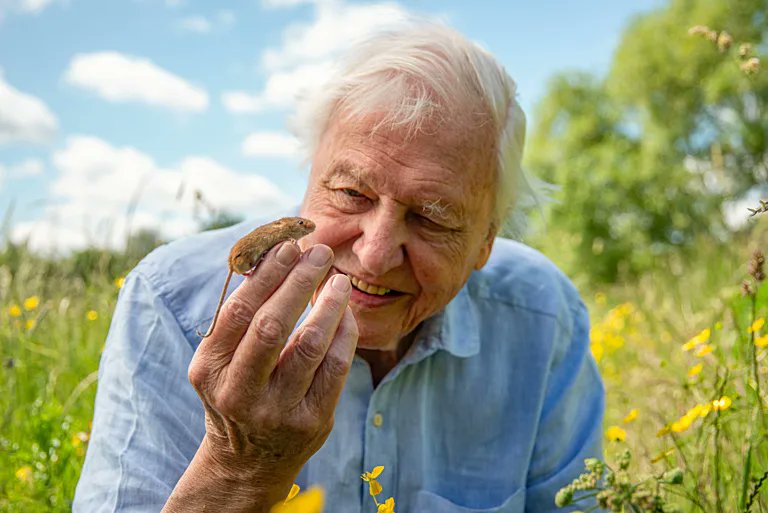 "We moved from being a part of nature to being apart from nature."

~ Sir David Attenborough