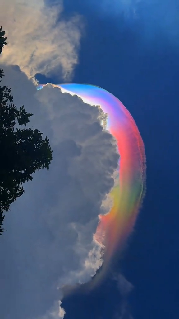 Nature is Amazing ☘️ tweet media