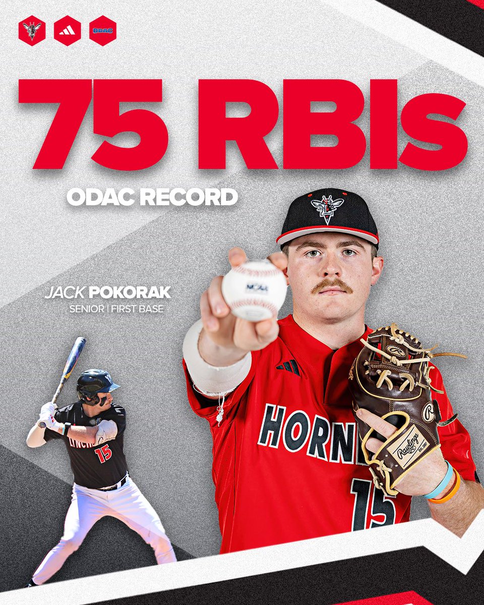 Lynchburg Baseball tweet media