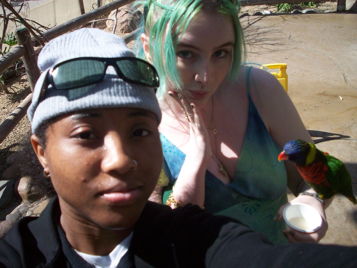 jolyne ☆ tweet media