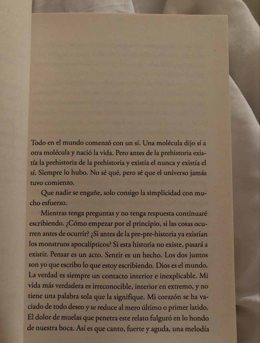 Laura tweet media