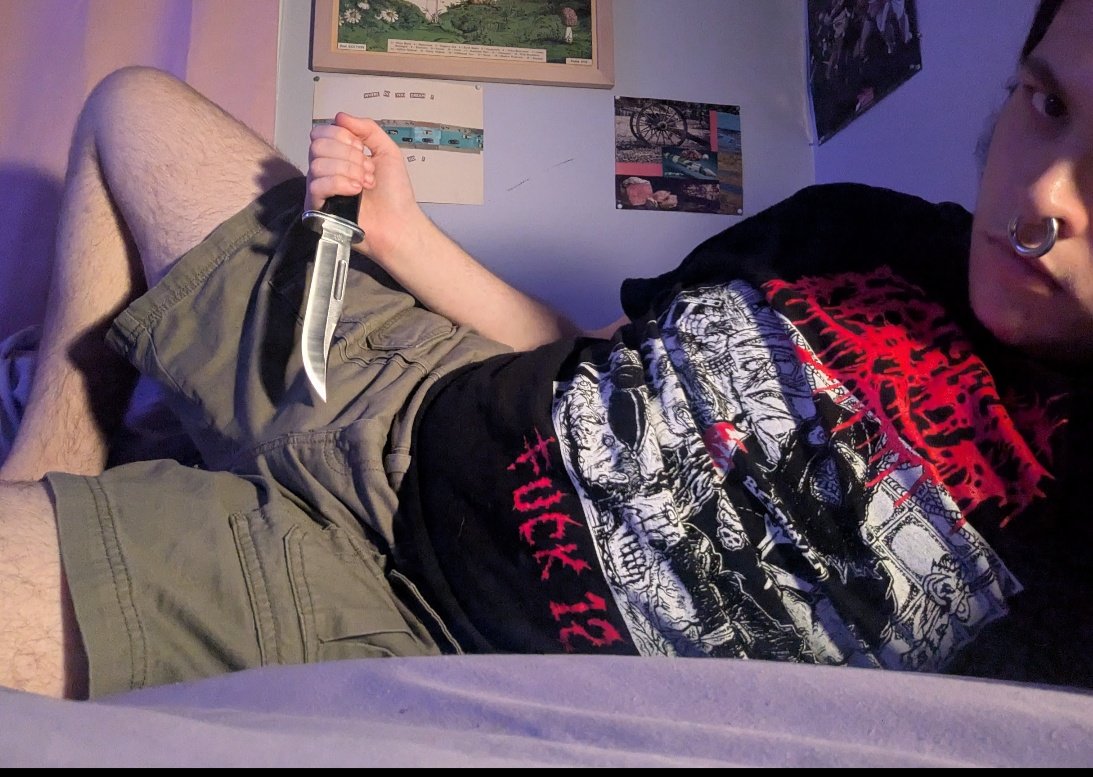 absolute_pestxo tweet picture