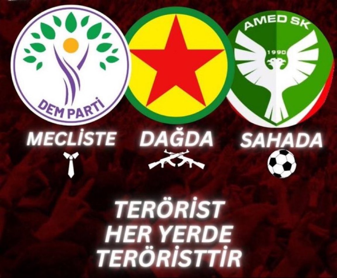Türkçü Çizgi tweet media