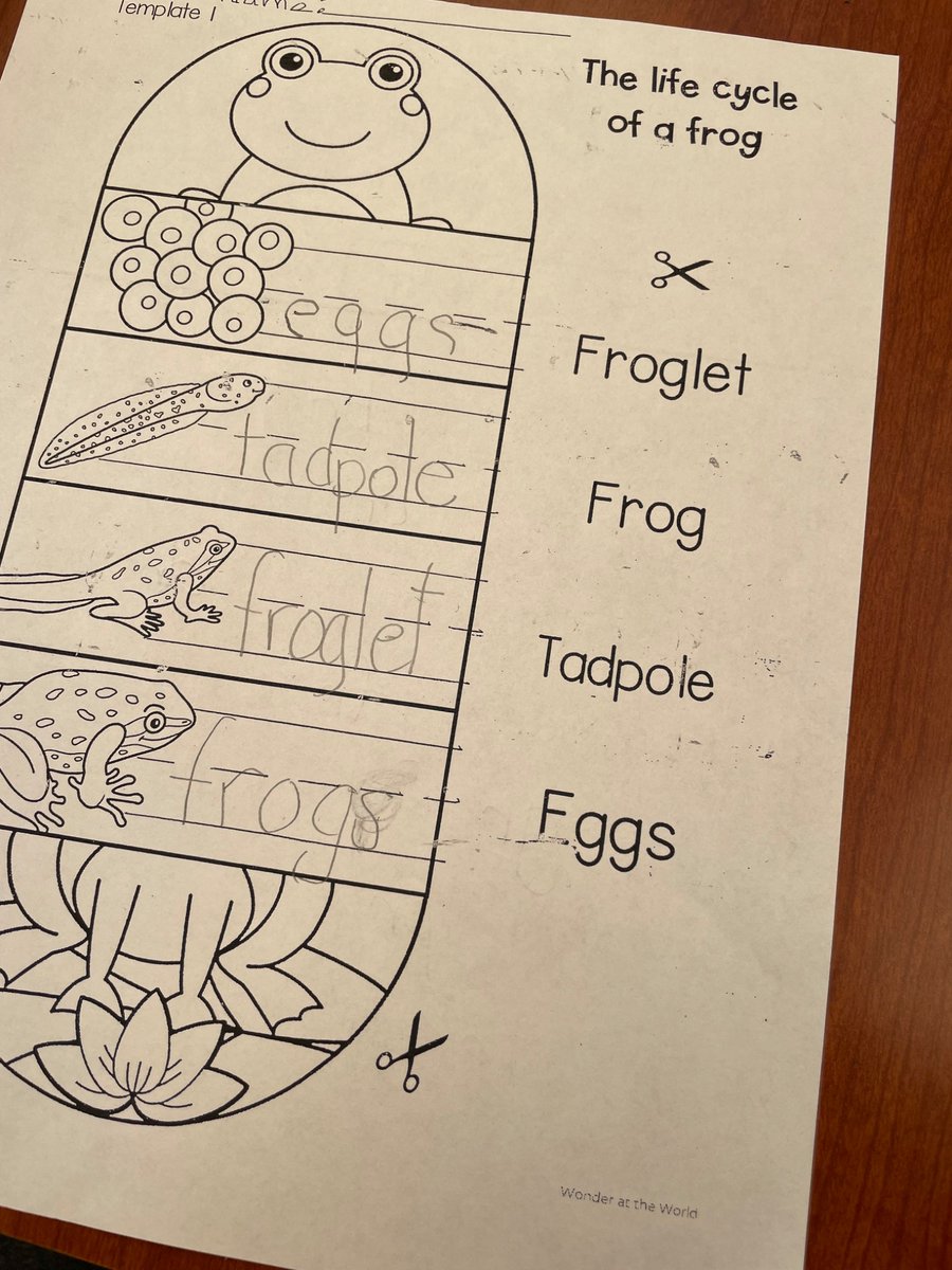 gfleming62's tweet photo. @ShoreAcresMDUSD 🤩💕📚
@DeltaViewStars 🤩💕📚
@MtDiabloUSD 🥰💕📚
Students learning about the life cycle of a frog 🐸 in the library. https://t.co/TOe4HHx5nj