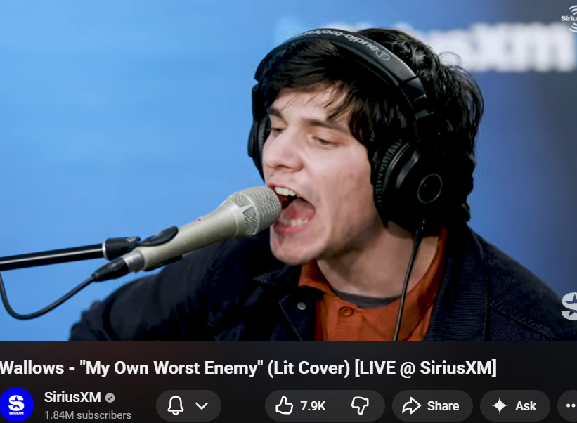 dan tweet media