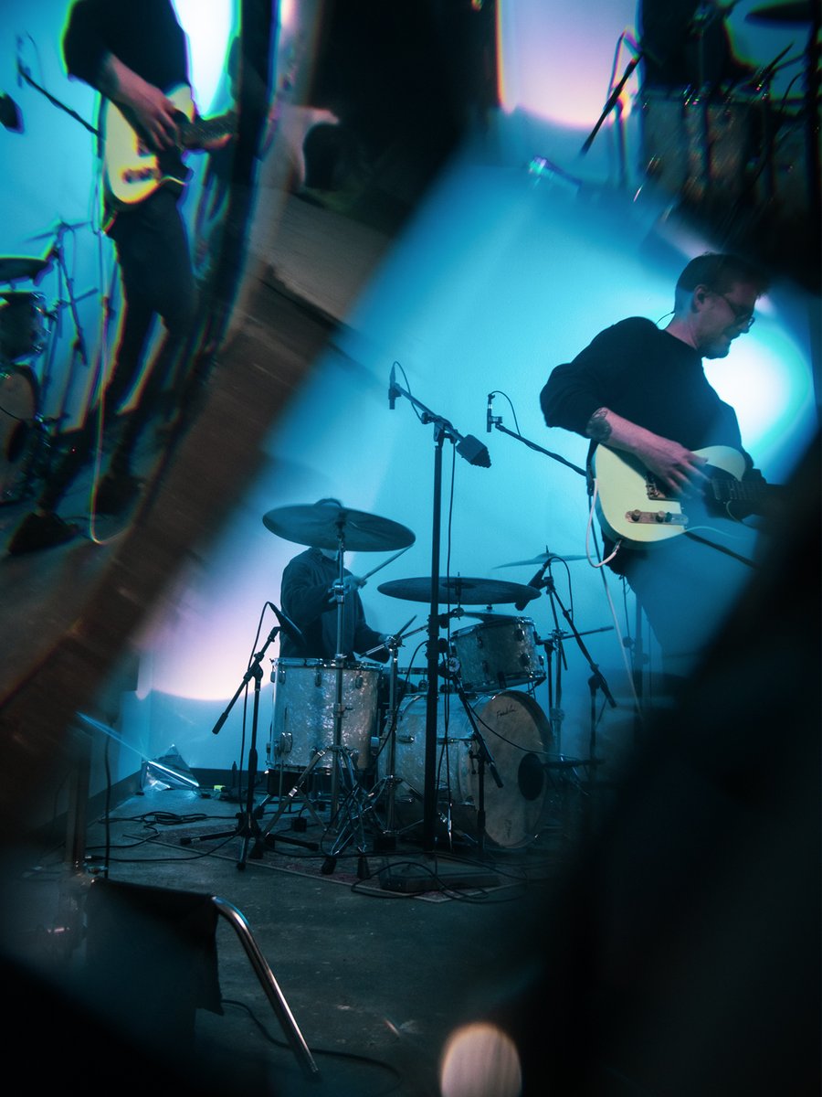 Walrus Audio tweet media