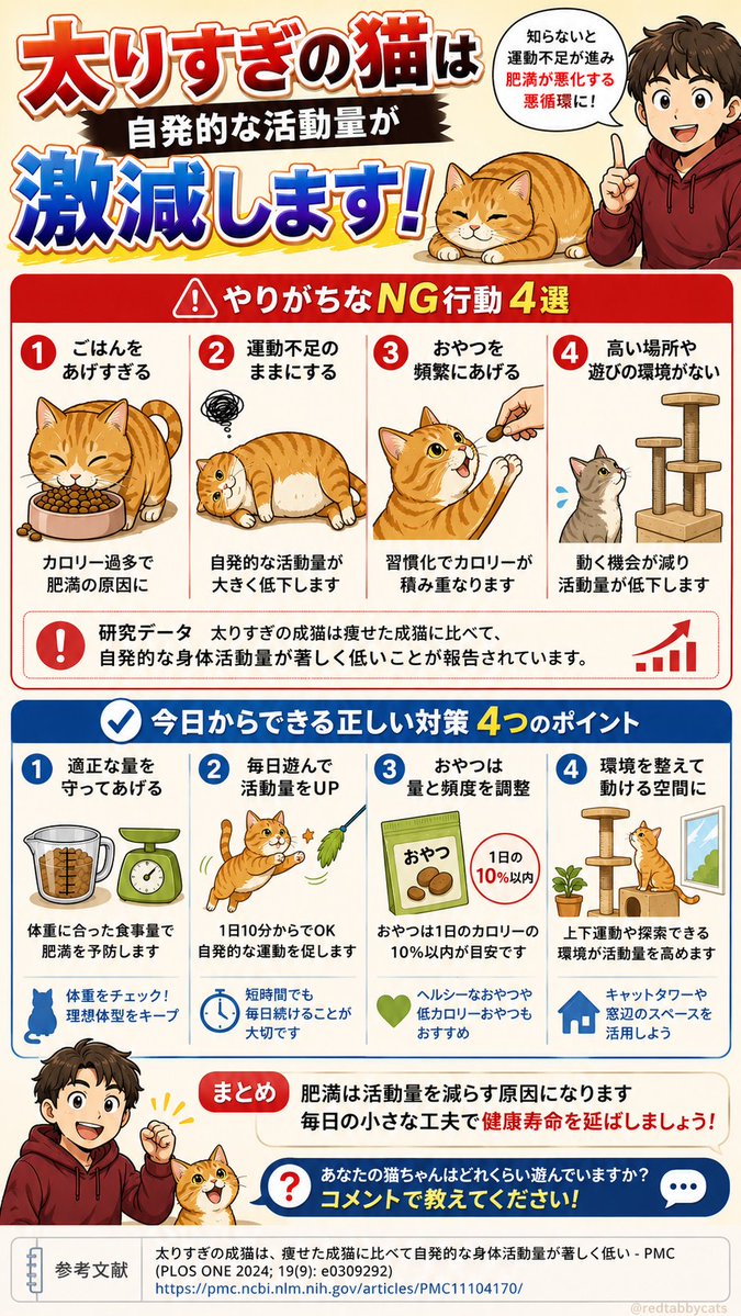 😿太ると動かない😺

つい食べさせすぎたり
遊ぶ時間が減っていませんか？⚠️
実は肥満の猫は
自発的な活動量が大きく低下する報告もあります。

知らないと見落としやすい
NG習慣を図解でまとめました👇
あとで見返せるよう保存がおすすめです📌

あなたの猫ちゃんは
1日どれくらい遊んでいますか？🐾