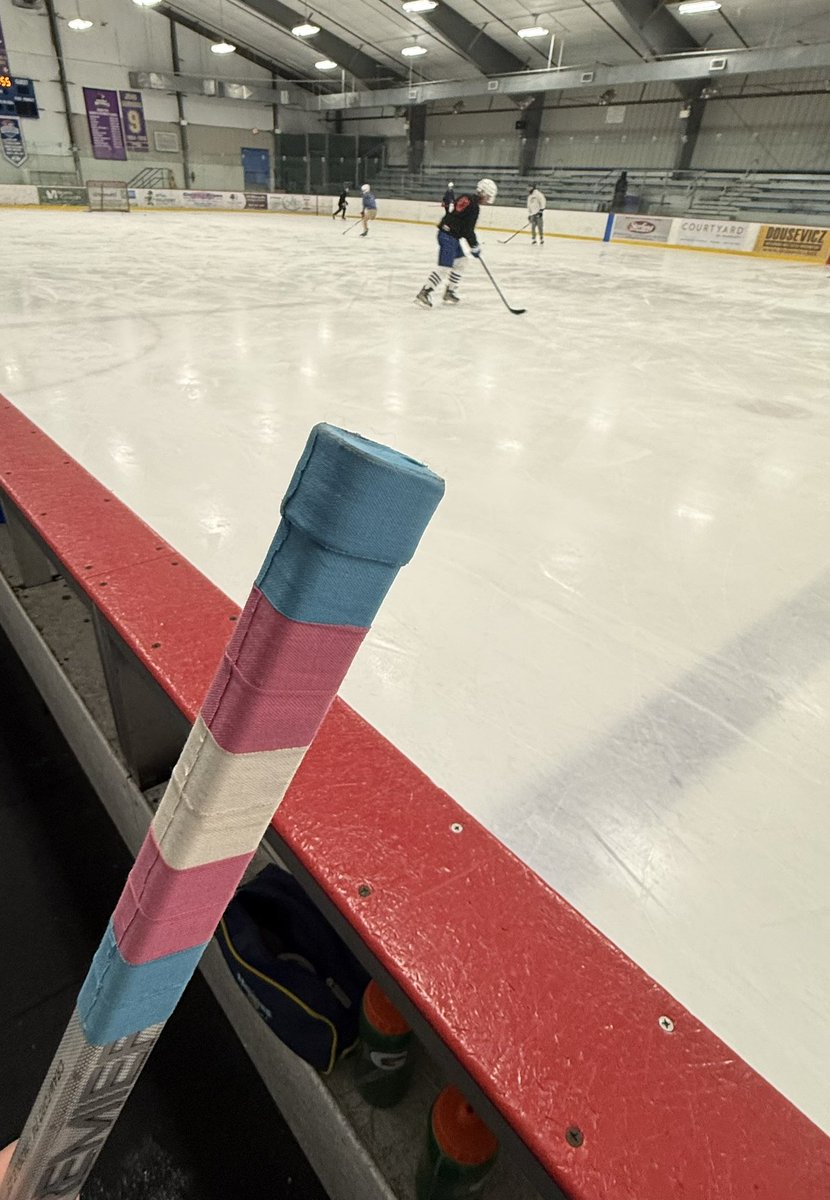 wayward goalie tweet media