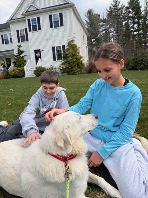Labs4rescue tweet media