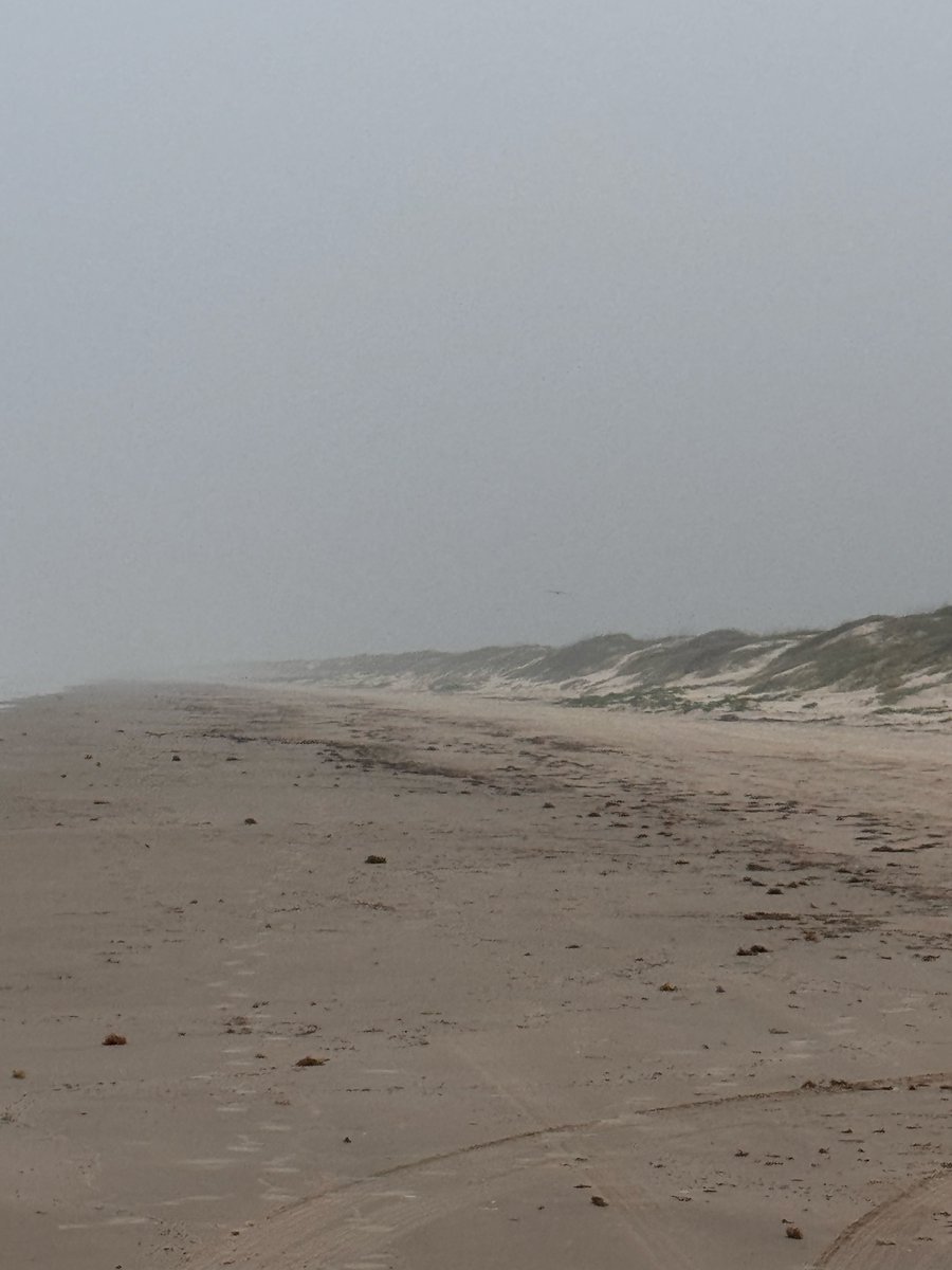 Badplastic20's tweet photo. PINS Tx today. Poor air quality and water today. Lots of silt pushed down from rivers to the north. Three bags of plastic off the beach. #onemillionbags #tpwd. A easy thing to do is picking up some plastic around you when visit this beautiful place! https://t.co/HnaHVML7cY