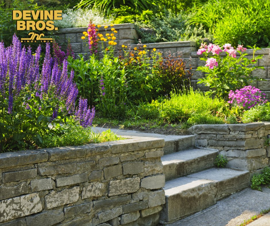 DevineBi's tweet photo. Dreaming of a beautiful patio or walkway? Our expert masonry team is here to make it happen! From stone paths to stylish retaining walls, we'll supply everything you need to transform your outdoor space.

https://t.co/9R8UEIerny https://t.co/v3Ron8cSXU