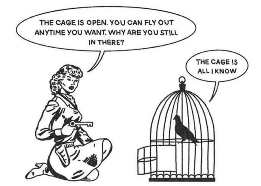 The Cage tweet media