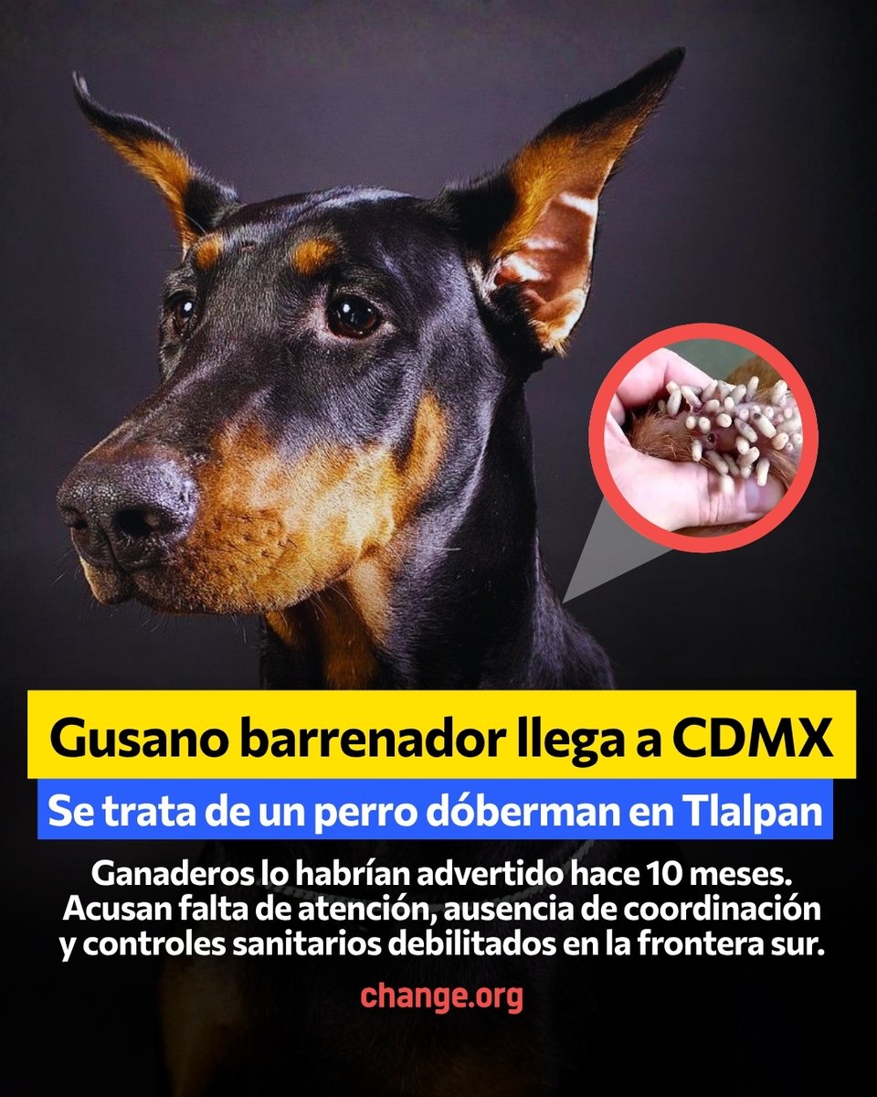 Change.org México tweet media