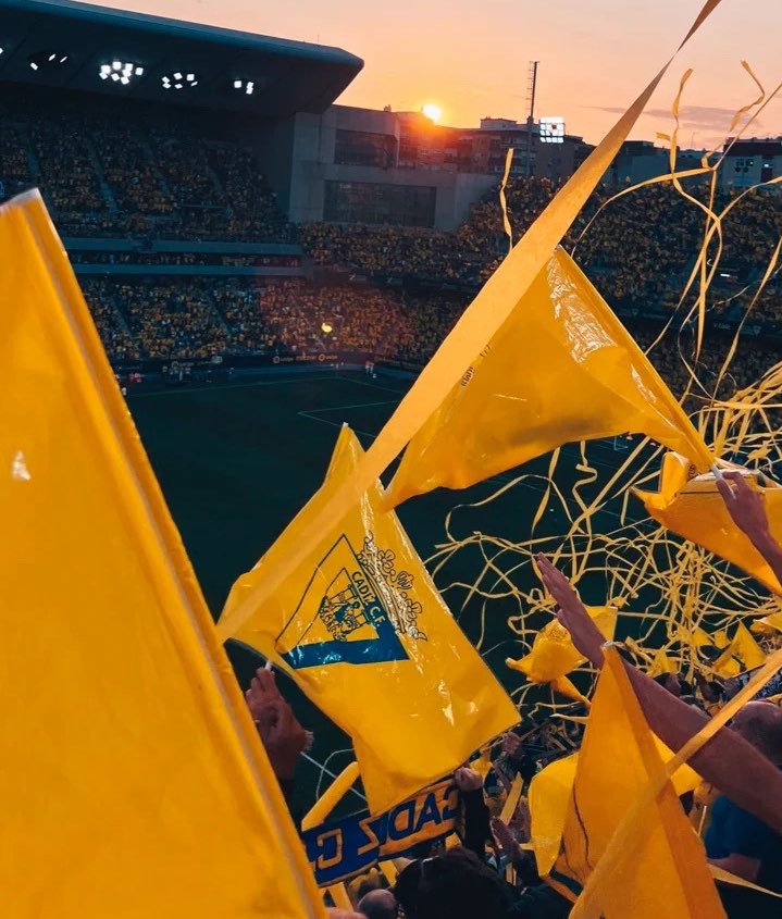 David Pedemonte 💛💙 tweet media