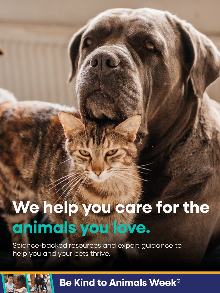 American Humane Society tweet media